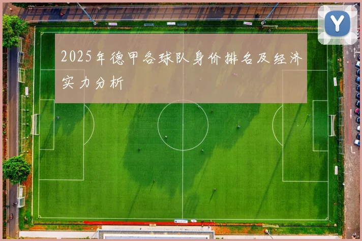 2025年德甲各球队身价排名及经济实力分析