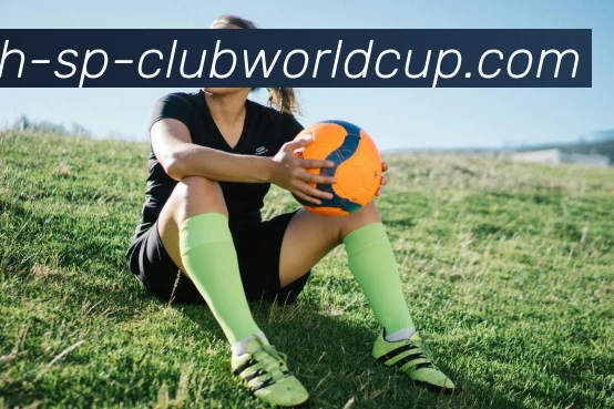 世界杯官网发展历程